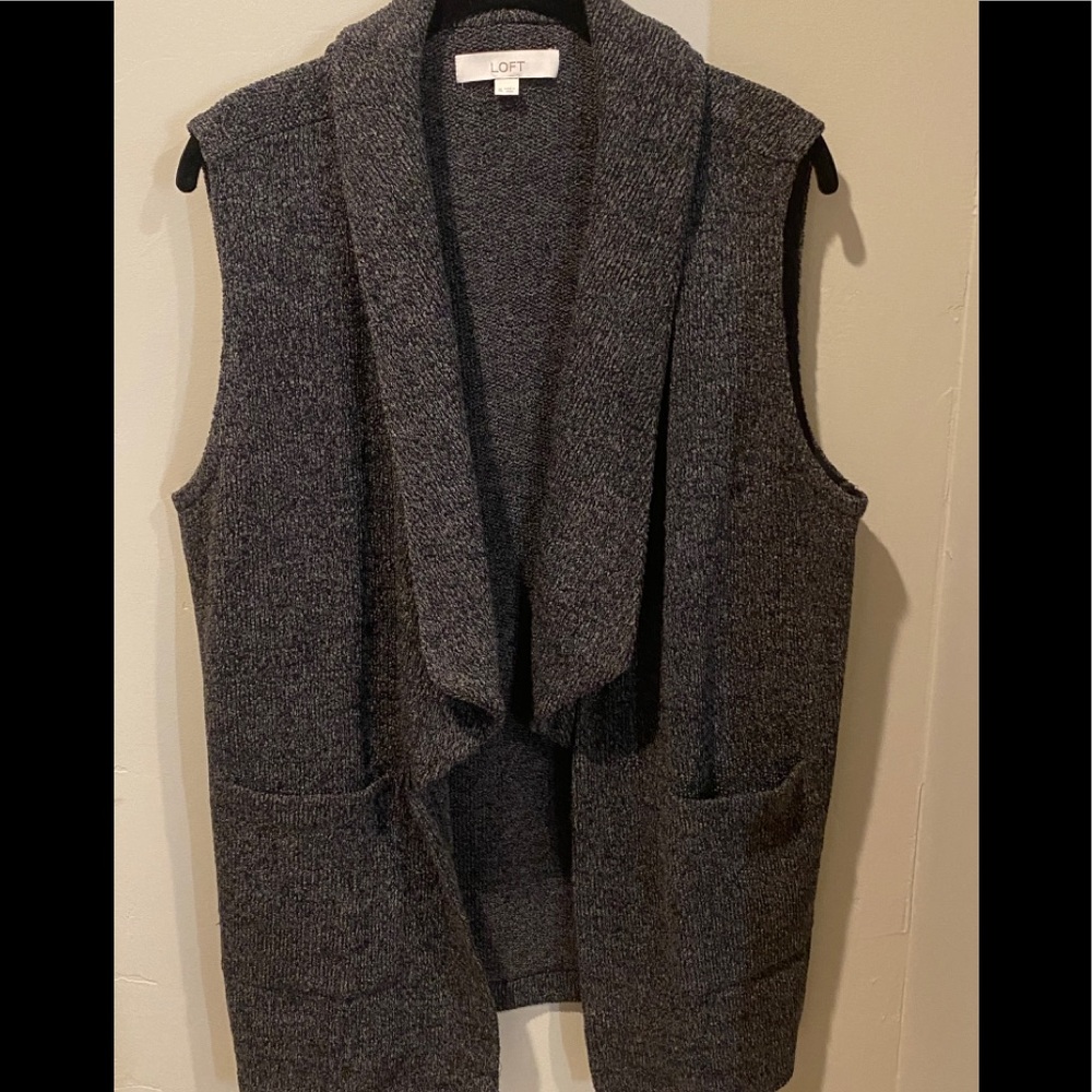 The Loft Gray tweety sweater vest